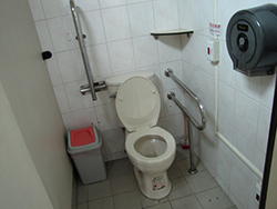 廁所盥洗室：馬桶旁扶手